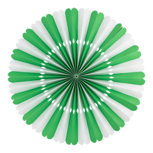 Load image into Gallery viewer, Green and White Party Fan Set