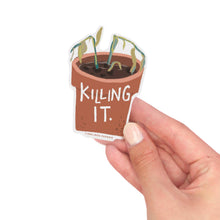 Load image into Gallery viewer, Vinyl Sticker - Killing it