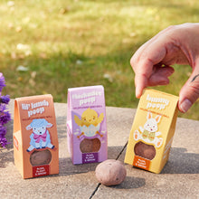 Load image into Gallery viewer, Easter Plops Basket Stuffers: Bunny Poop