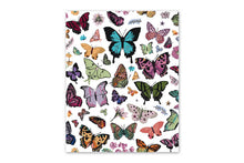Load image into Gallery viewer, Paint by Numbers - Butterfly Garden