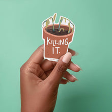 Load image into Gallery viewer, Vinyl Sticker - Killing it