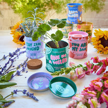 Load image into Gallery viewer, Complimentary Color Grow Kits: You are My Jam