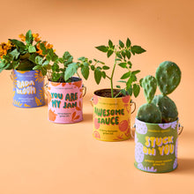 Load image into Gallery viewer, Complimentary Color Grow Kits: Awesome Sauce