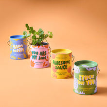 Load image into Gallery viewer, Complimentary Color Grow Kits: You are My Jam