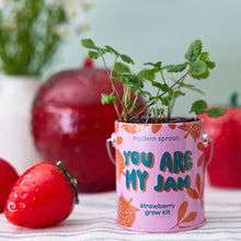 Load image into Gallery viewer, Complimentary Color Grow Kits: Stay Zen Friend