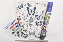 Load image into Gallery viewer, Paint by Numbers - Butterfly Garden