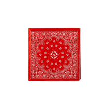 Load image into Gallery viewer, Bandana Cocktail Napkin Set
