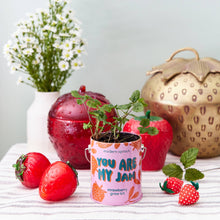 Load image into Gallery viewer, Complimentary Color Grow Kits: You are My Jam
