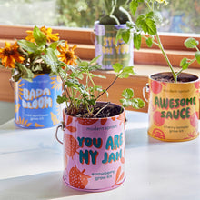 Load image into Gallery viewer, Complimentary Color Grow Kits: Stay Zen Friend
