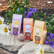 Load image into Gallery viewer, Easter Plops Basket Stuffers: Bunny Poop
