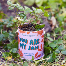 Load image into Gallery viewer, Complimentary Color Grow Kits: You are My Jam

