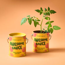 Load image into Gallery viewer, Complimentary Color Grow Kits: Stay Zen Friend
