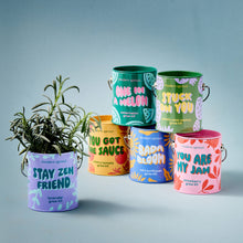 Load image into Gallery viewer, Complimentary Color Grow Kits: You are My Jam
