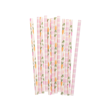 Load image into Gallery viewer, Carrots and Stripes Reusable Straws
