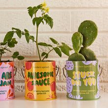 Load image into Gallery viewer, Complimentary Color Grow Kits: Awesome Sauce
