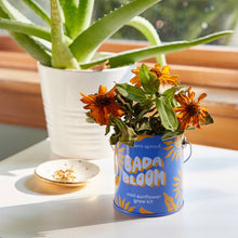 Load image into Gallery viewer, Complimentary Color Grow Kits: You are My Jam
