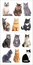 Load image into Gallery viewer, Mini Mixed Cats Sticker - ROLL OF 50 MODULES
