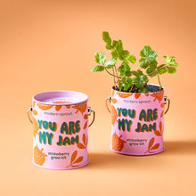 Load image into Gallery viewer, Complimentary Color Grow Kits: You are My Jam
