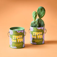 Load image into Gallery viewer, Complimentary Color Grow Kits: You are My Jam
