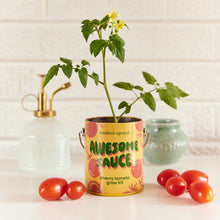 Load image into Gallery viewer, Complimentary Color Grow Kits: Awesome Sauce
