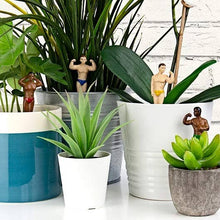 Load image into Gallery viewer, Mini Hunk Planters

